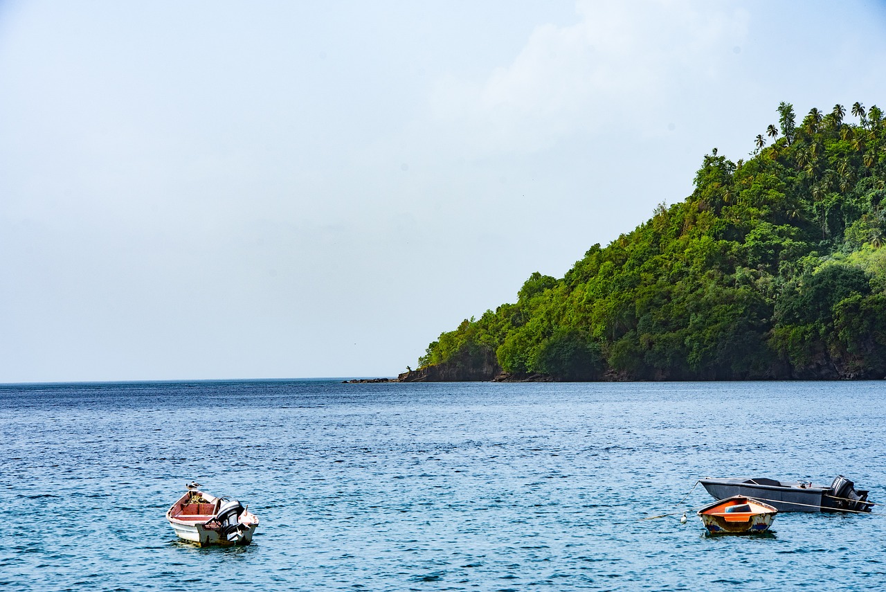 Discovering Dark View Falls and Local Cuisine in St. Vincent