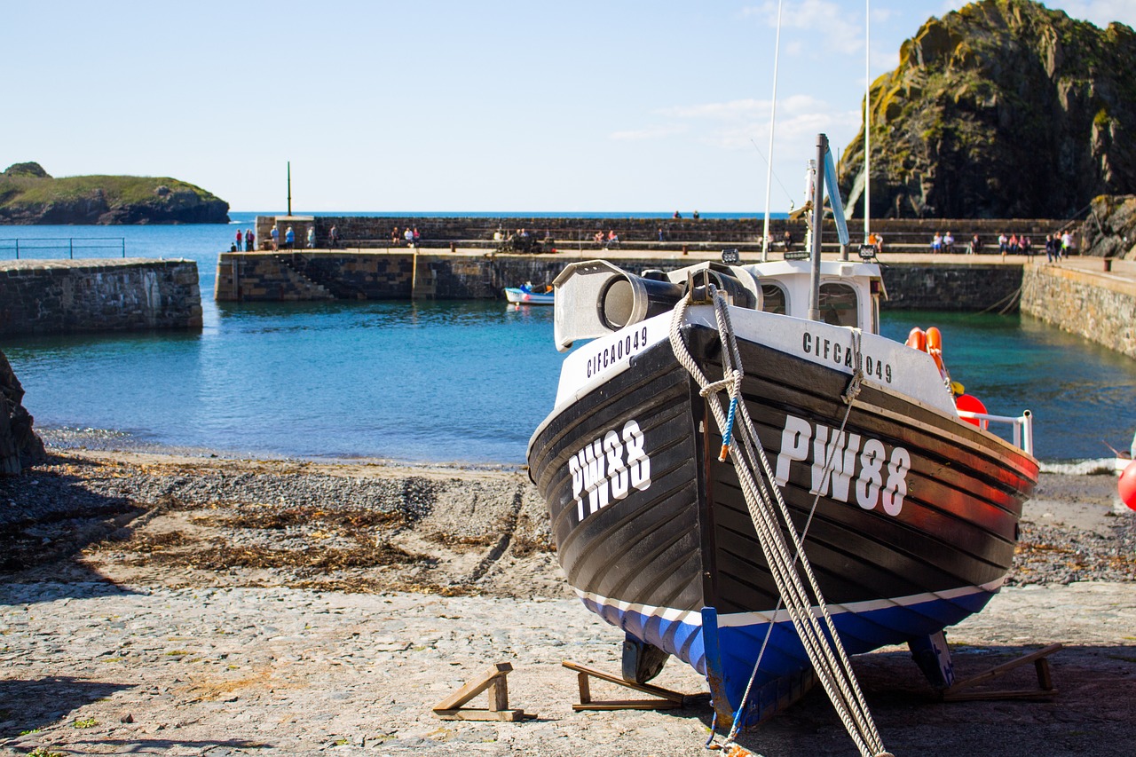 Coastal Delights and Culinary Charms in Mullion