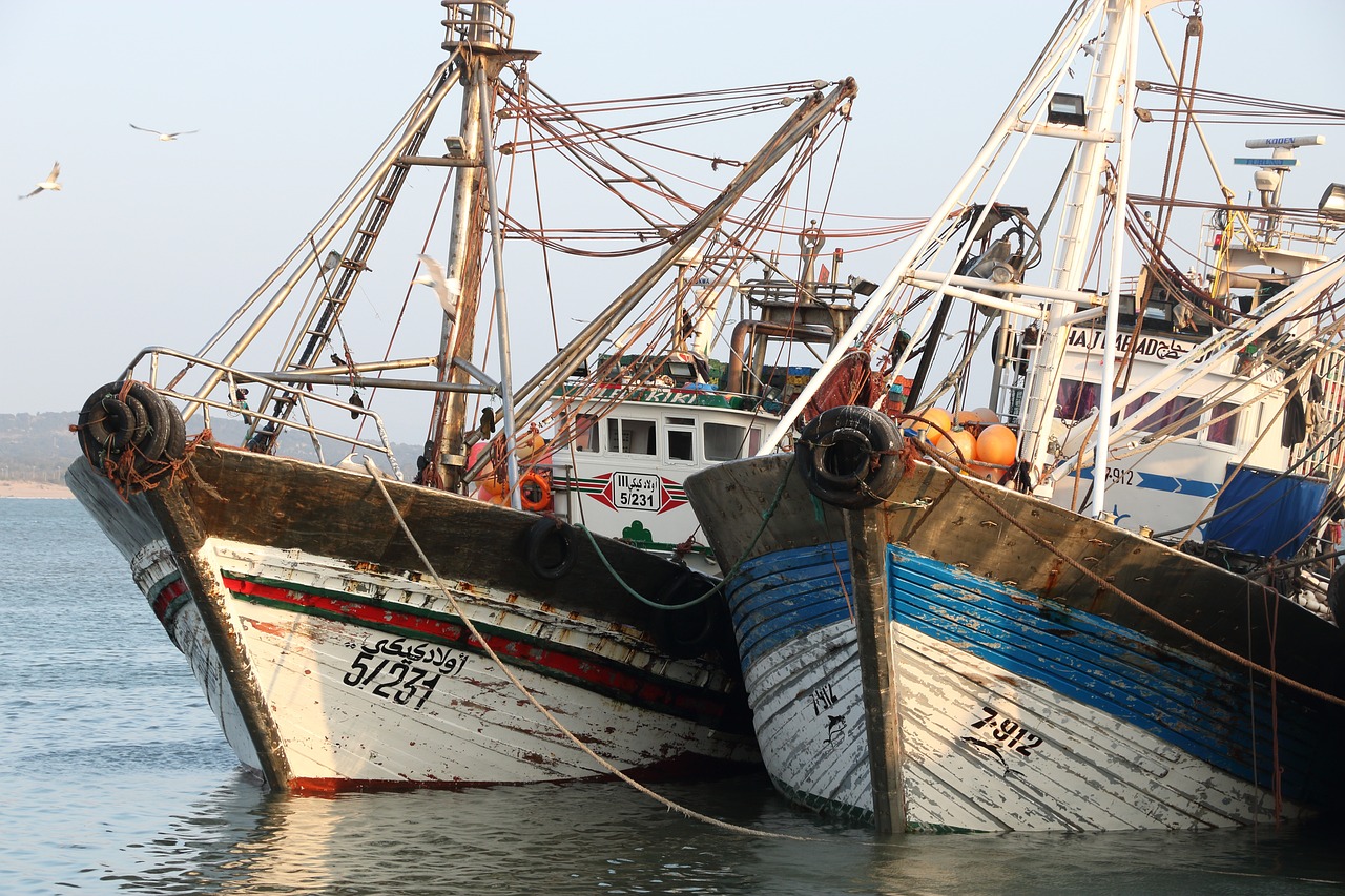 Essaouira Adventure and Culinary Delights