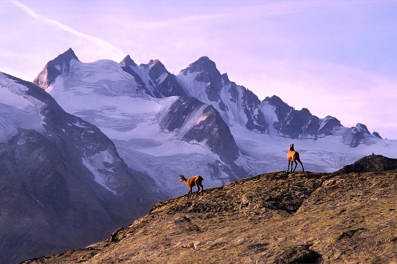 Scenic Wonders of Glacier National Park