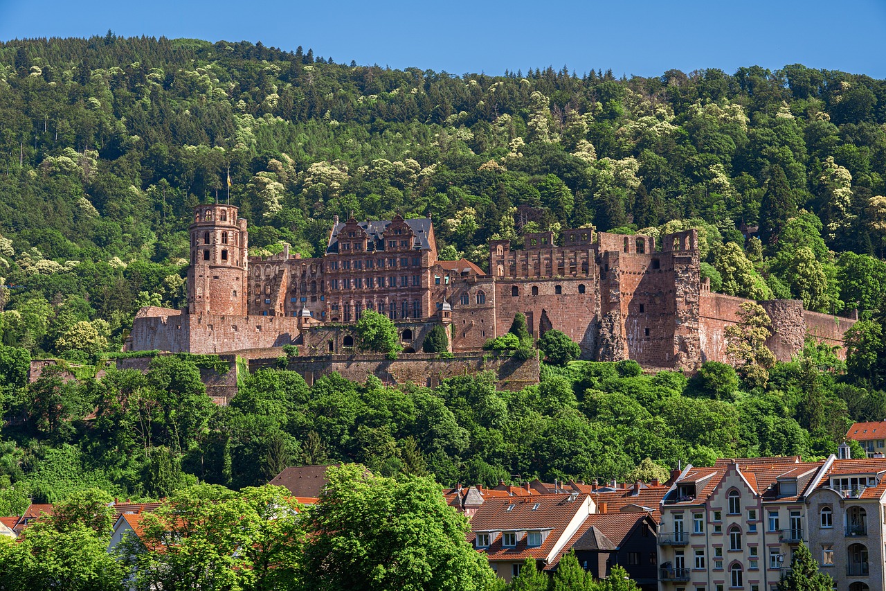 Historic and Culinary Journey in Heidelberg and Beyond