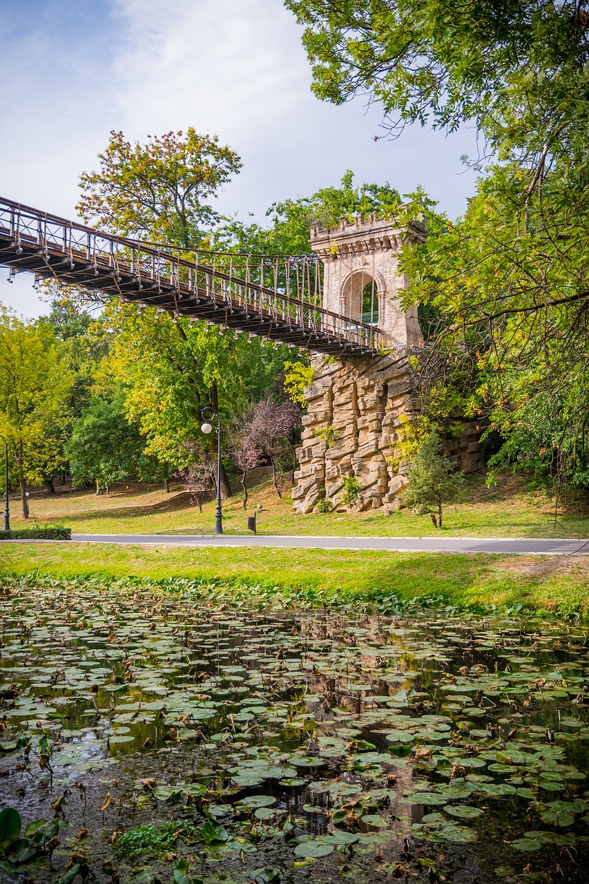 A Culinary Journey in Craiova