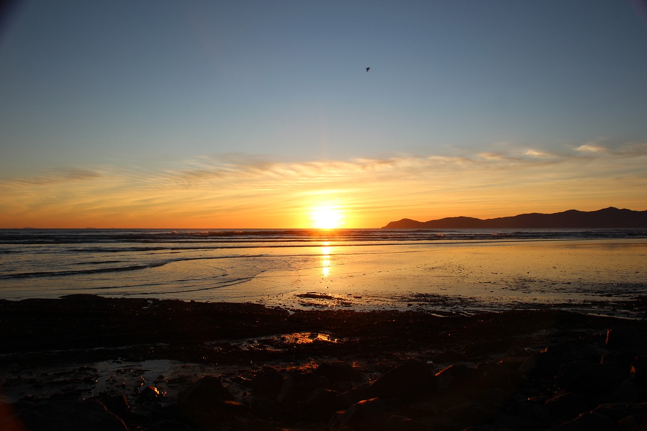 Outdoor Adventure in Paraparaumu