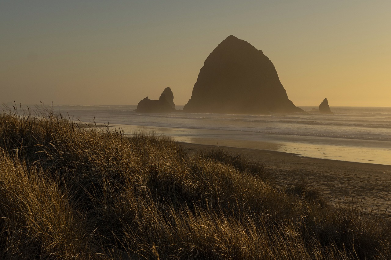 Coastal Adventure in Cannon Beach