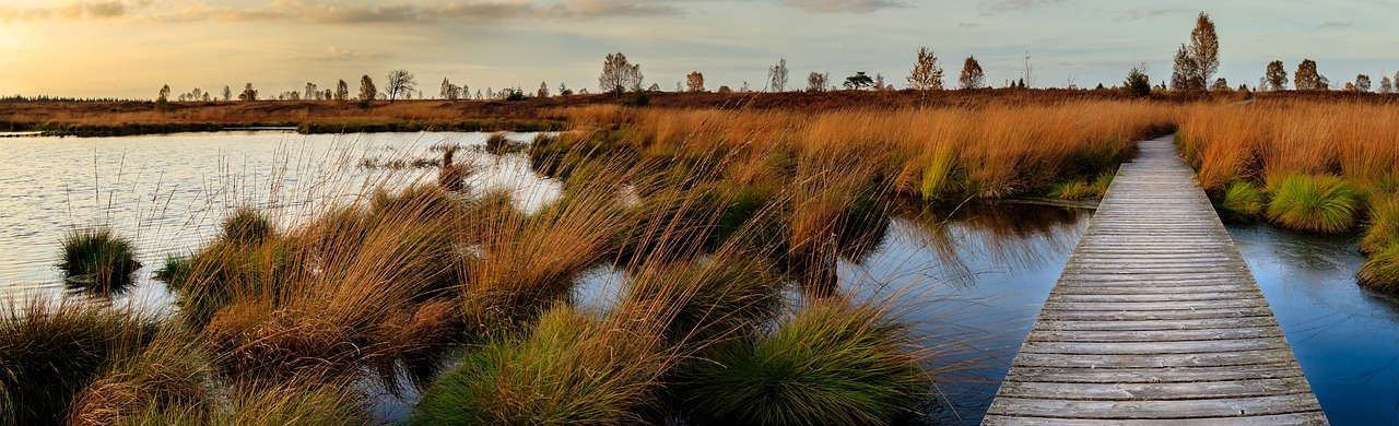 Hautes Fagnes Adventure and Gastronomy