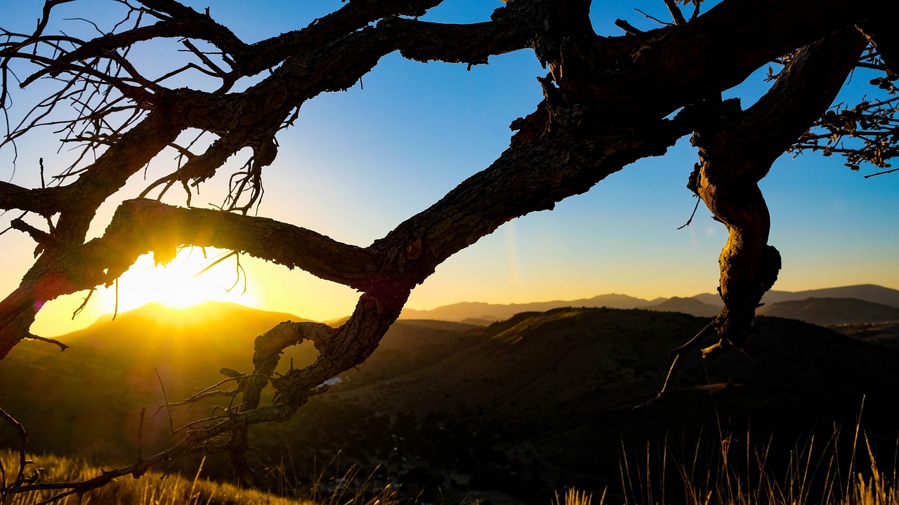 Discovering Fort Davis in a Day