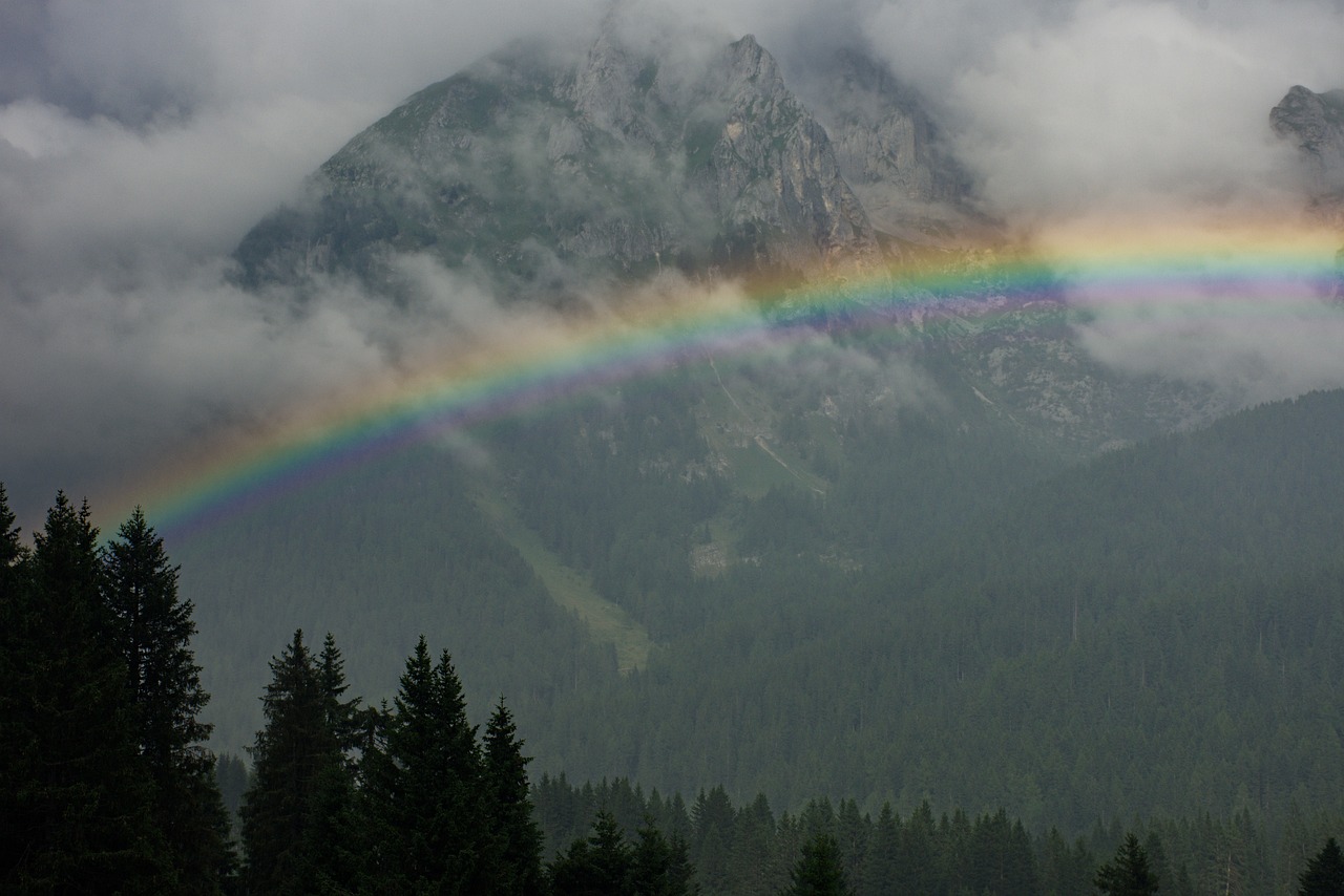 Découverte de la Nature et de la Gastronomie à Madonna di Campiglio