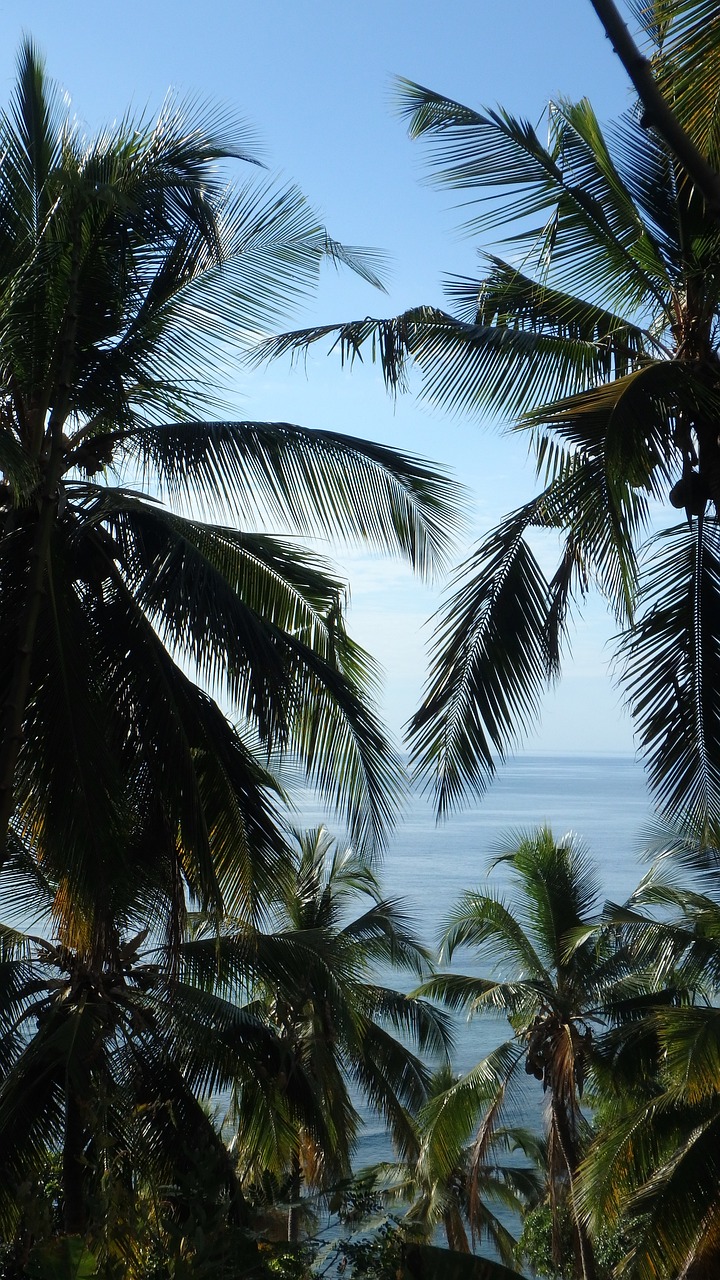 Découverte de Mayotte en 3 jours