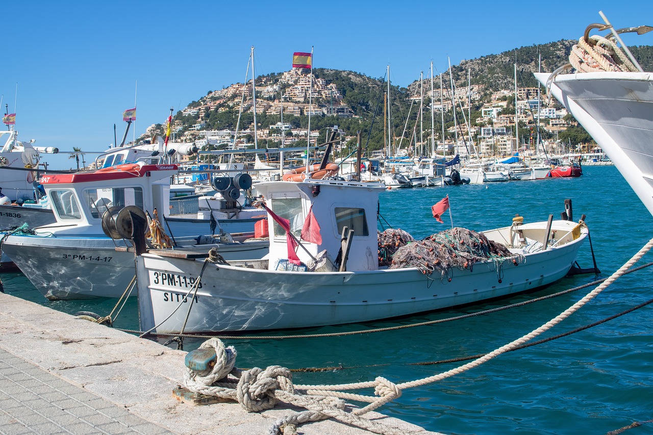 Esplorazione della Costa a Andratx