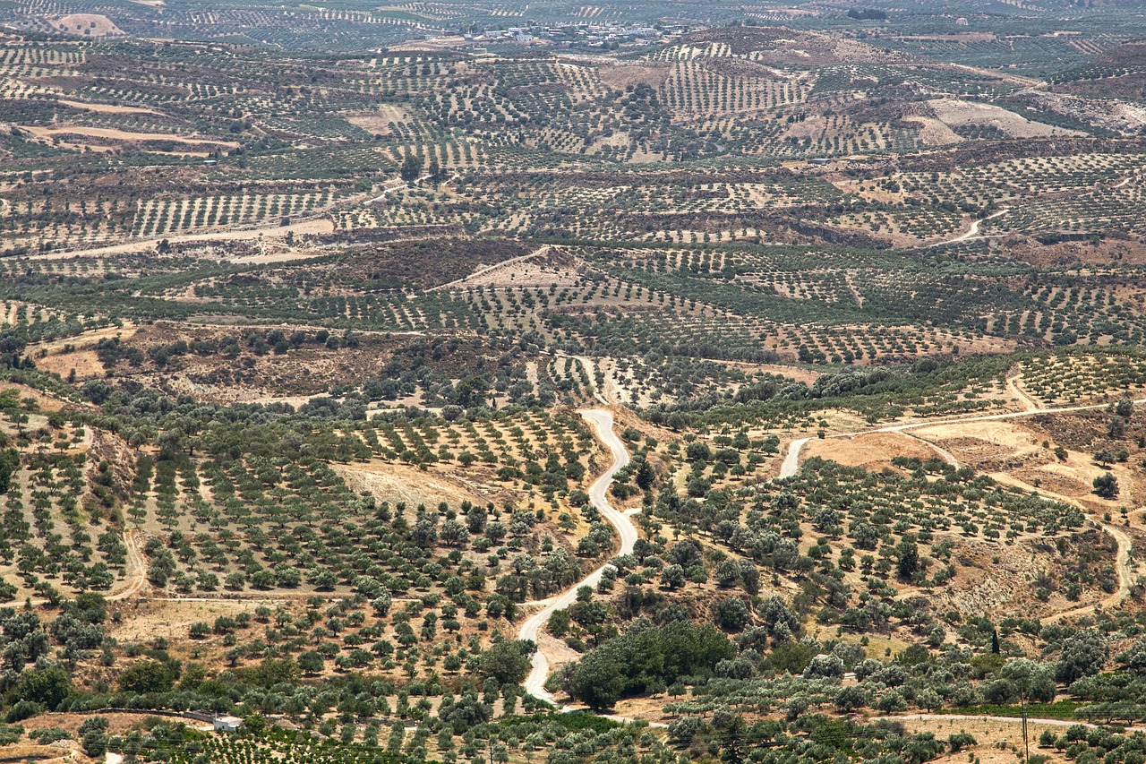 12 jours de Road trip en Grèce avec retour à Athènes