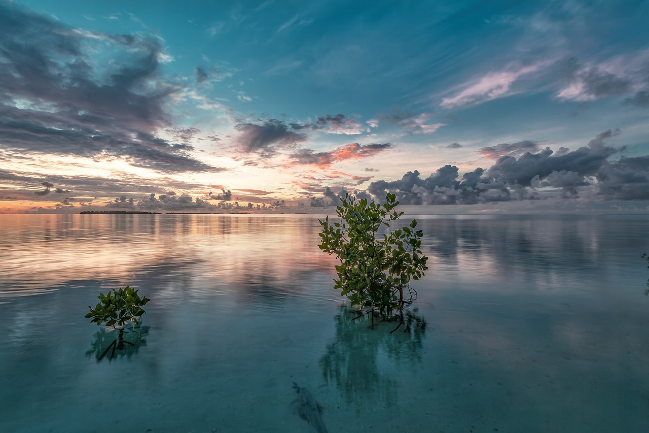 11 Días en Indonesia disfrutando de la naturaleza y playas