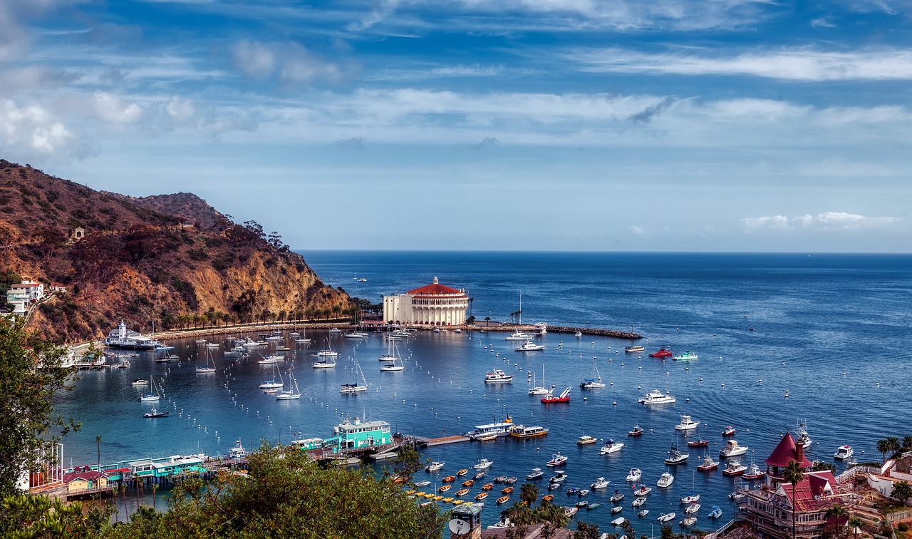 1 Day in Catalina Island with Ferry from Long Beach