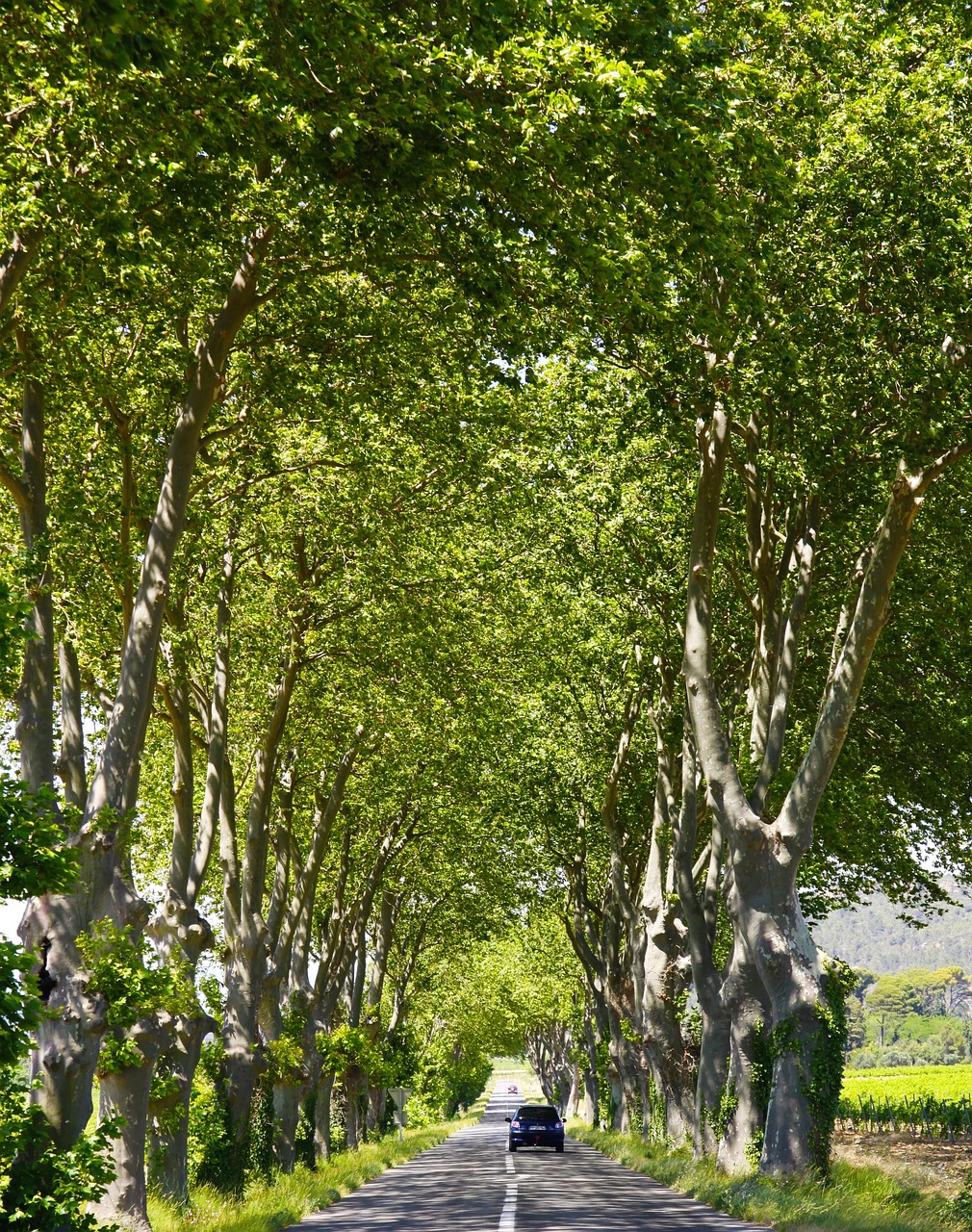 Découverte des Trésors de Fabrezan et Environs