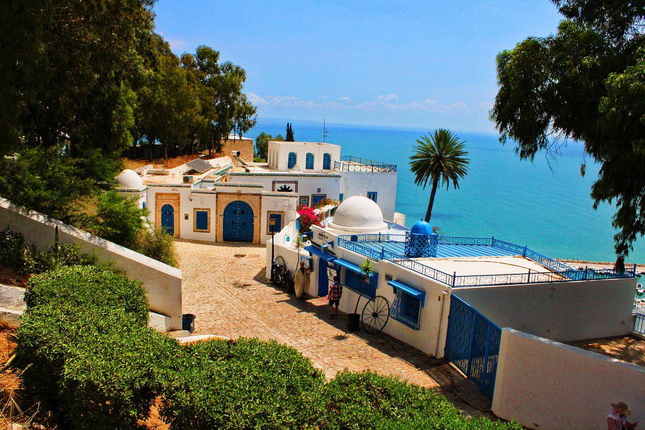 A Taste of Tunisia: Sidi Bou Said and Carthage in a Day