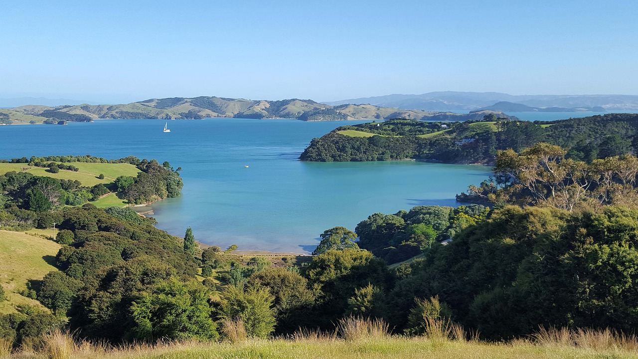 Waiheke Island Wine Tasting and Scenic Flight