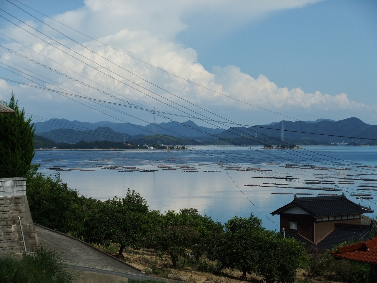 Volcanic Wonders and Culinary Delights in Oshima