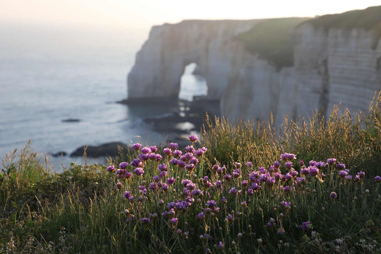 Scenic Escape in Étretat