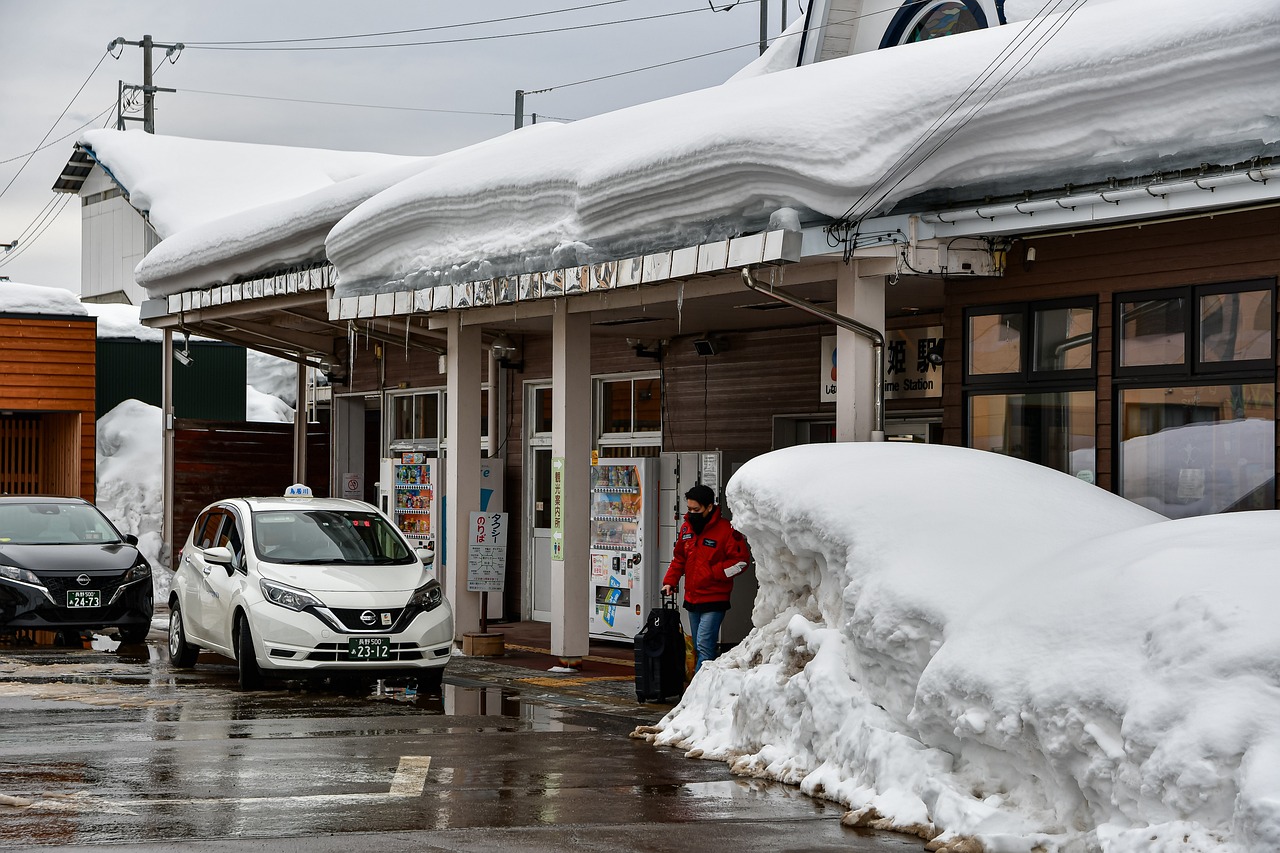 Zen and Snow: Nagano Winter Wonderland