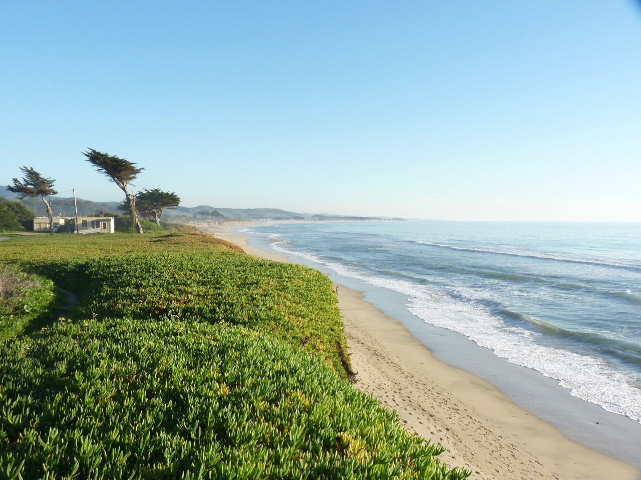 Pearl and Oyster Paradise in Central Coast