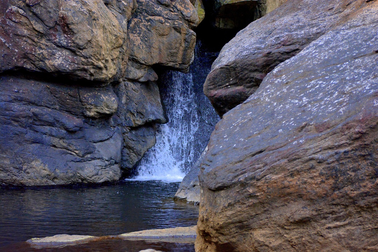 Tranquil Nature Retreat in Coorg