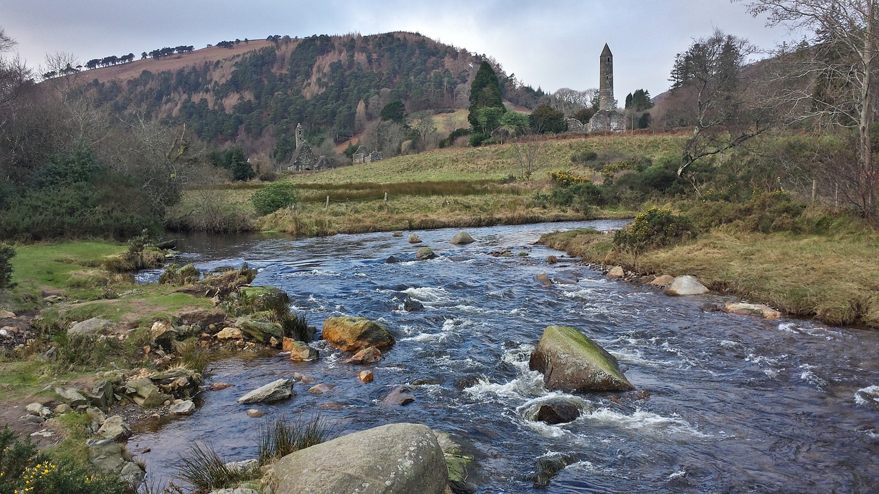 Family Day in the Nature of Wicklow Mountains