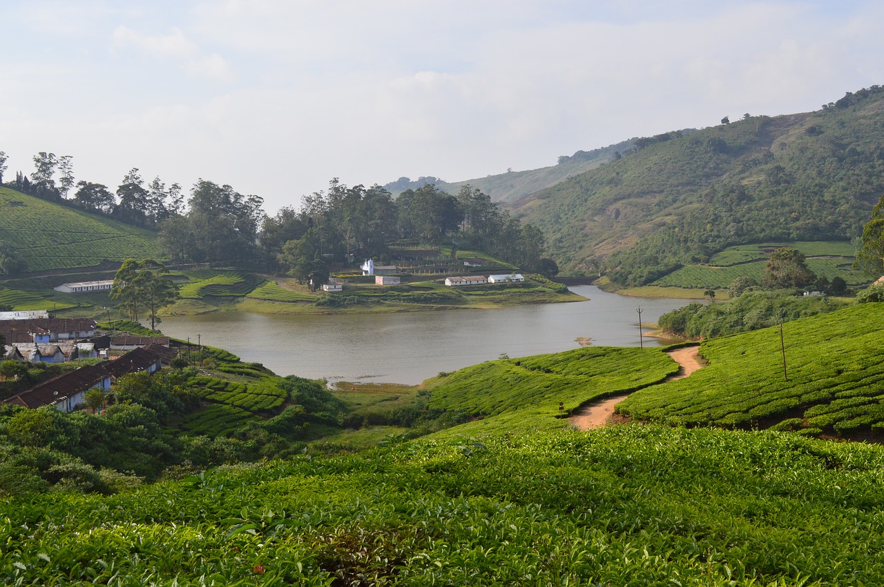 Wildlife and Nature Escape in Meghamalai