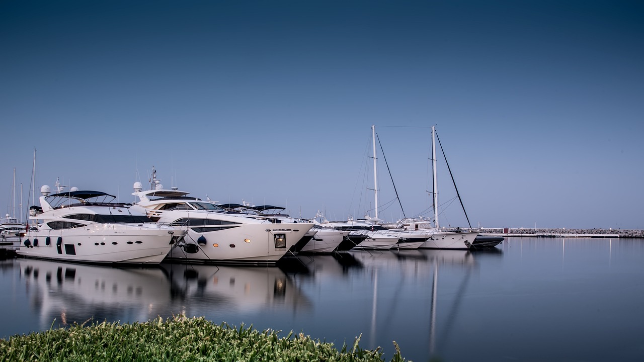 Luxury Sailing and Dolphin Watching in Marbella