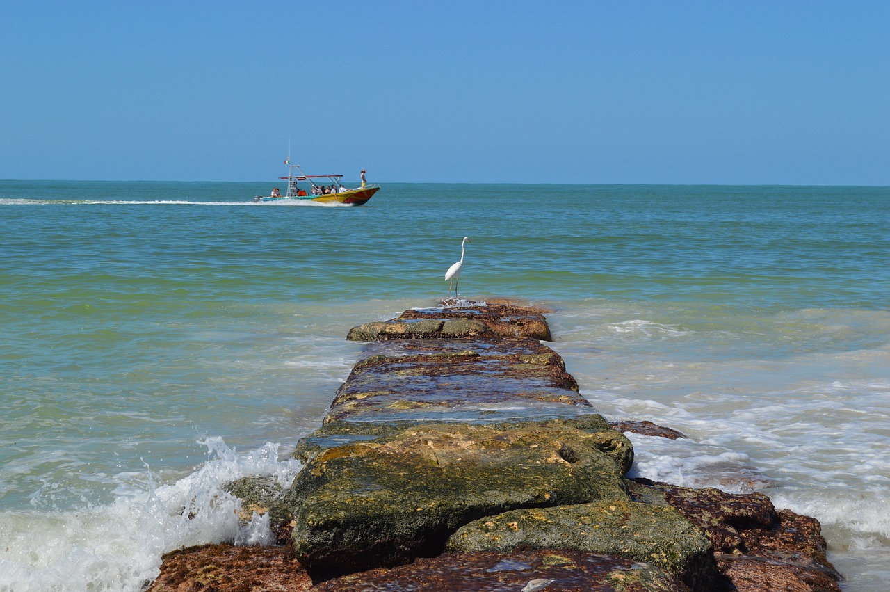 Ultimate 5-Day Holbox Island Adventure