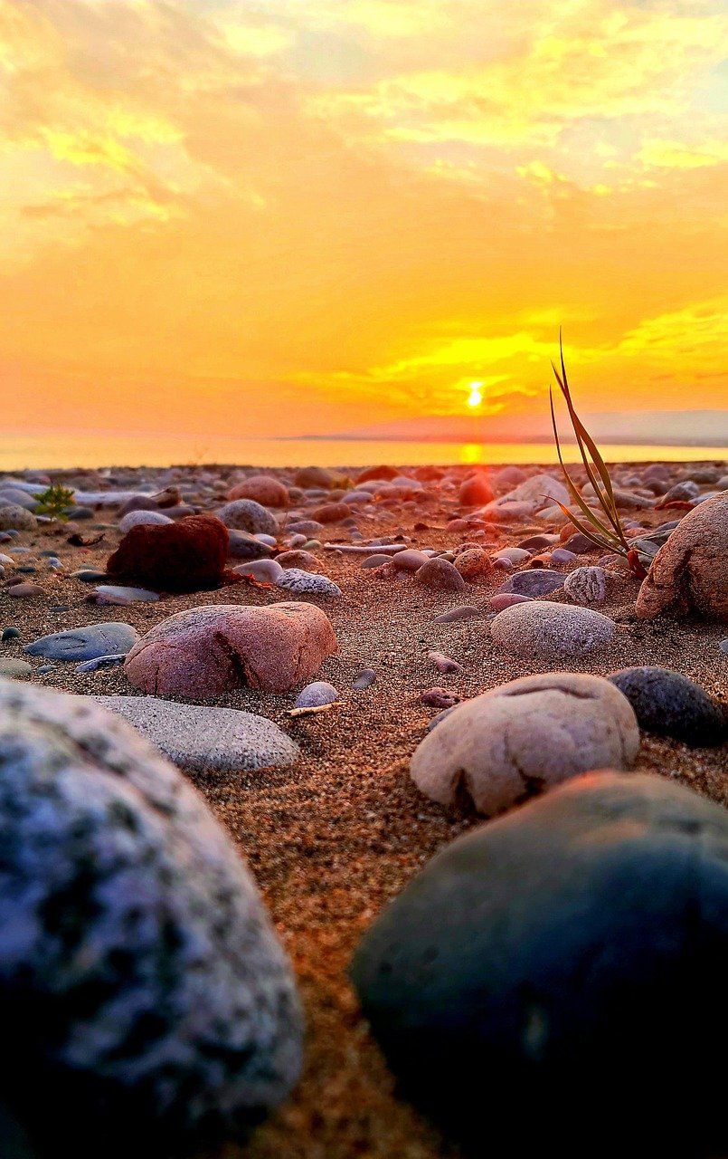 6 Days Exploring Nature in Newfoundland