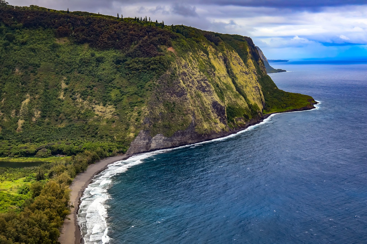 Beach Day in Big Island