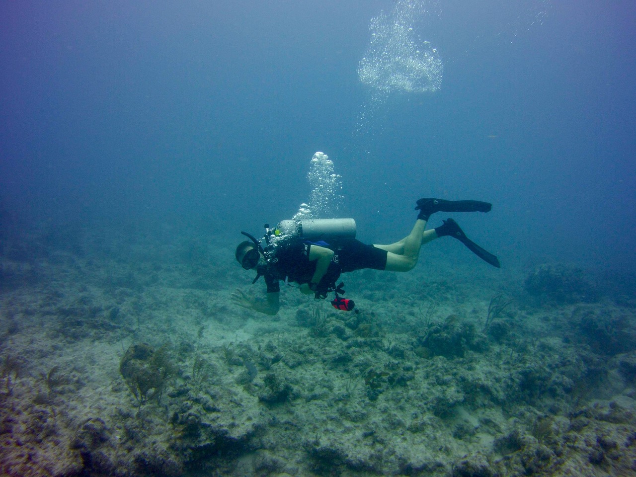 Esplorazione di Islamorada e Caccia al Tesoro a Key Largo