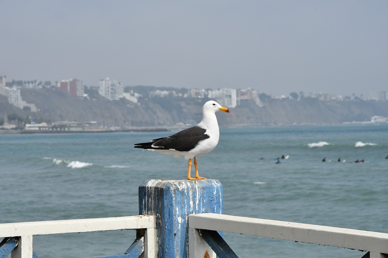Discovering Lima and its Surroundings in 5 Days