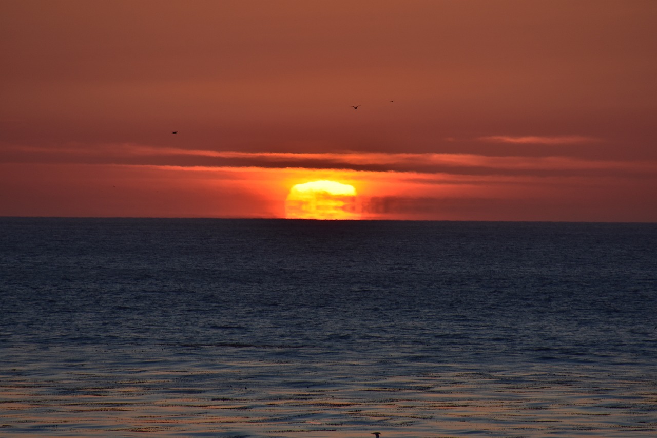 Scenic E-Biking and Culinary Delights in Cambria