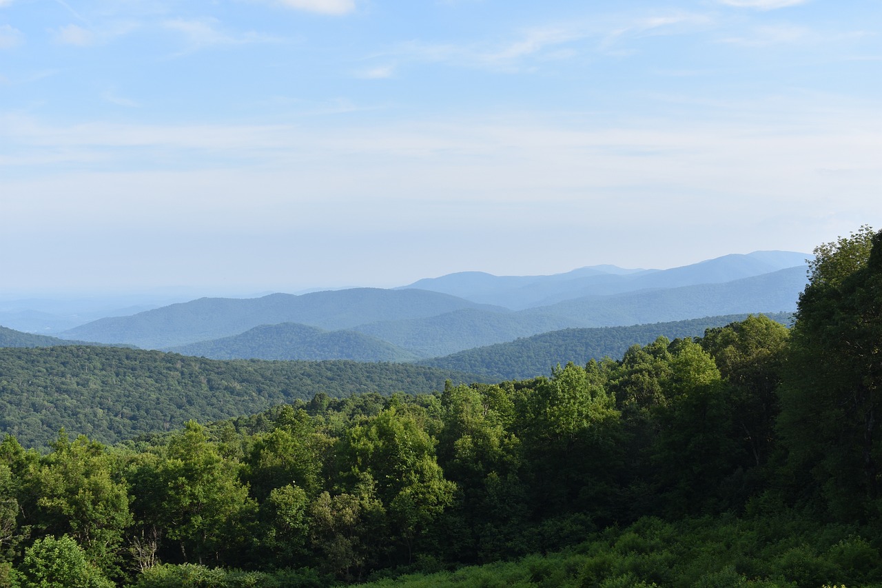 Nature's Paradise: Shenandoah, Smoky Mountains & South Carolina Coast