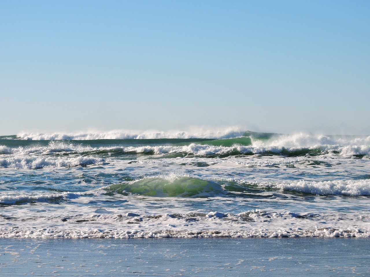 Exploring the Culinary Delights of the Oregon Coast