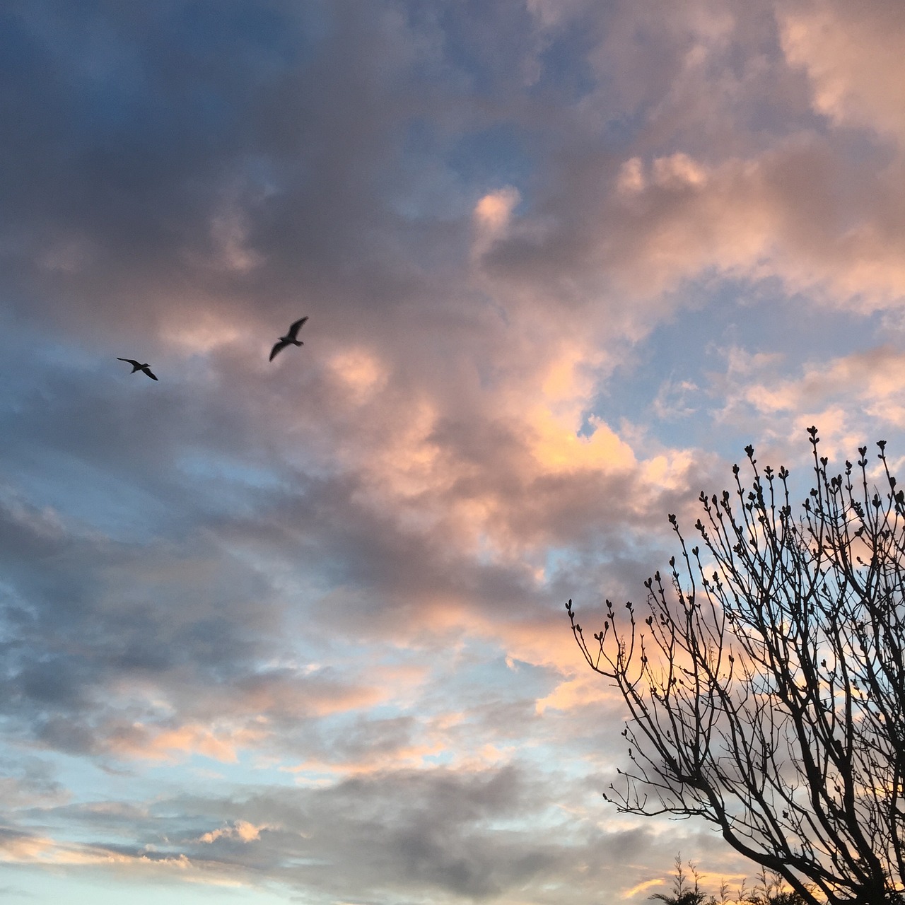 Historical Charm and Coastal Delights in Ramsgate