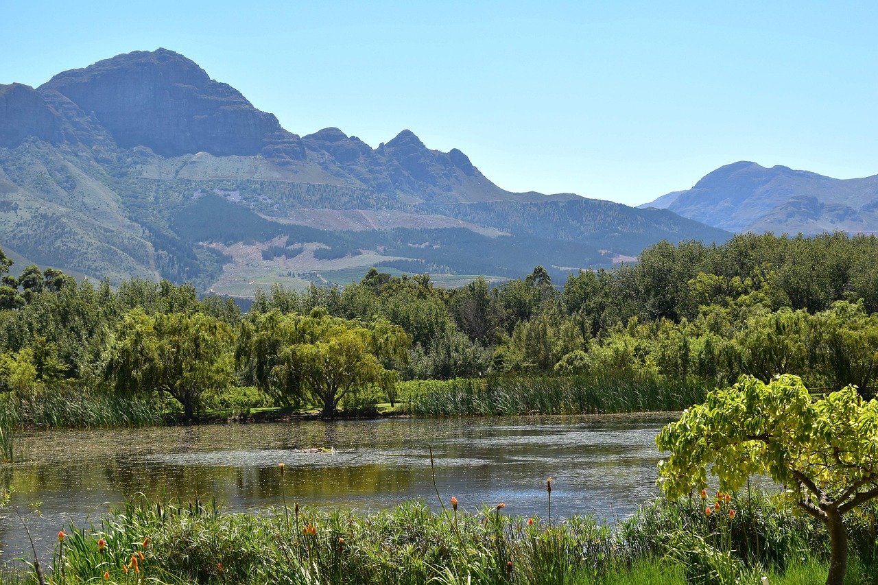 Wine and Dine in Cape Winelands