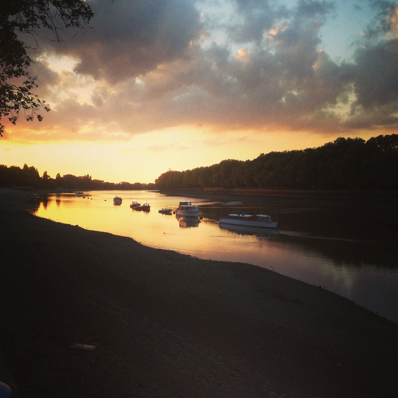 Putney Riverside Relaxation and Culinary Delights