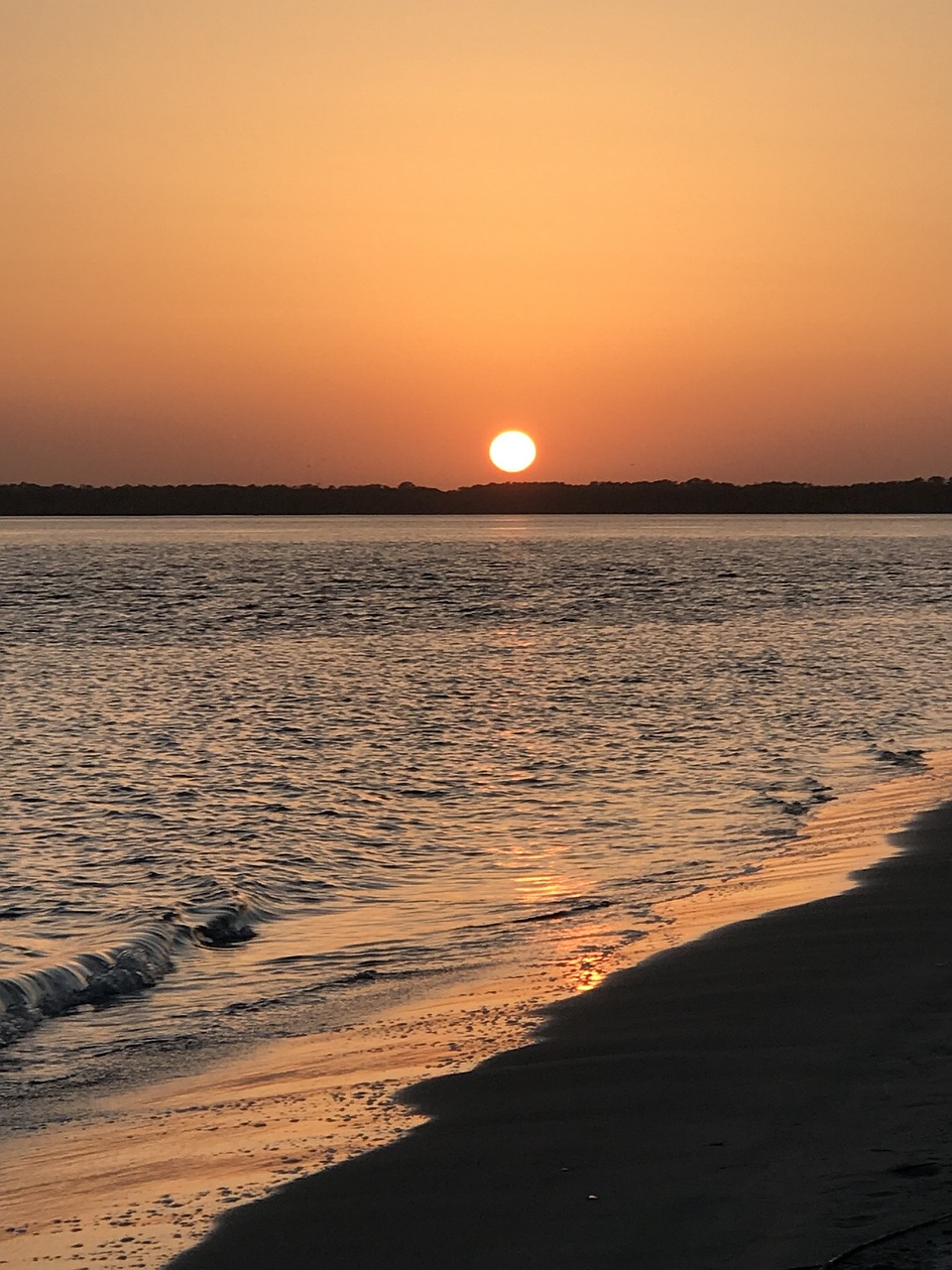 Seabrook Island Coastal Adventure