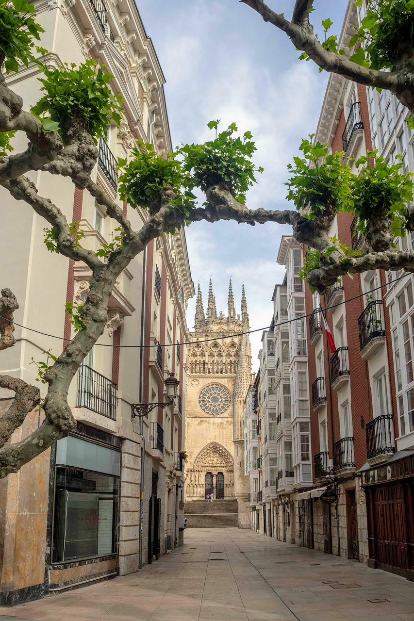 Ancient Oaks and Urban Adventures in Burgos