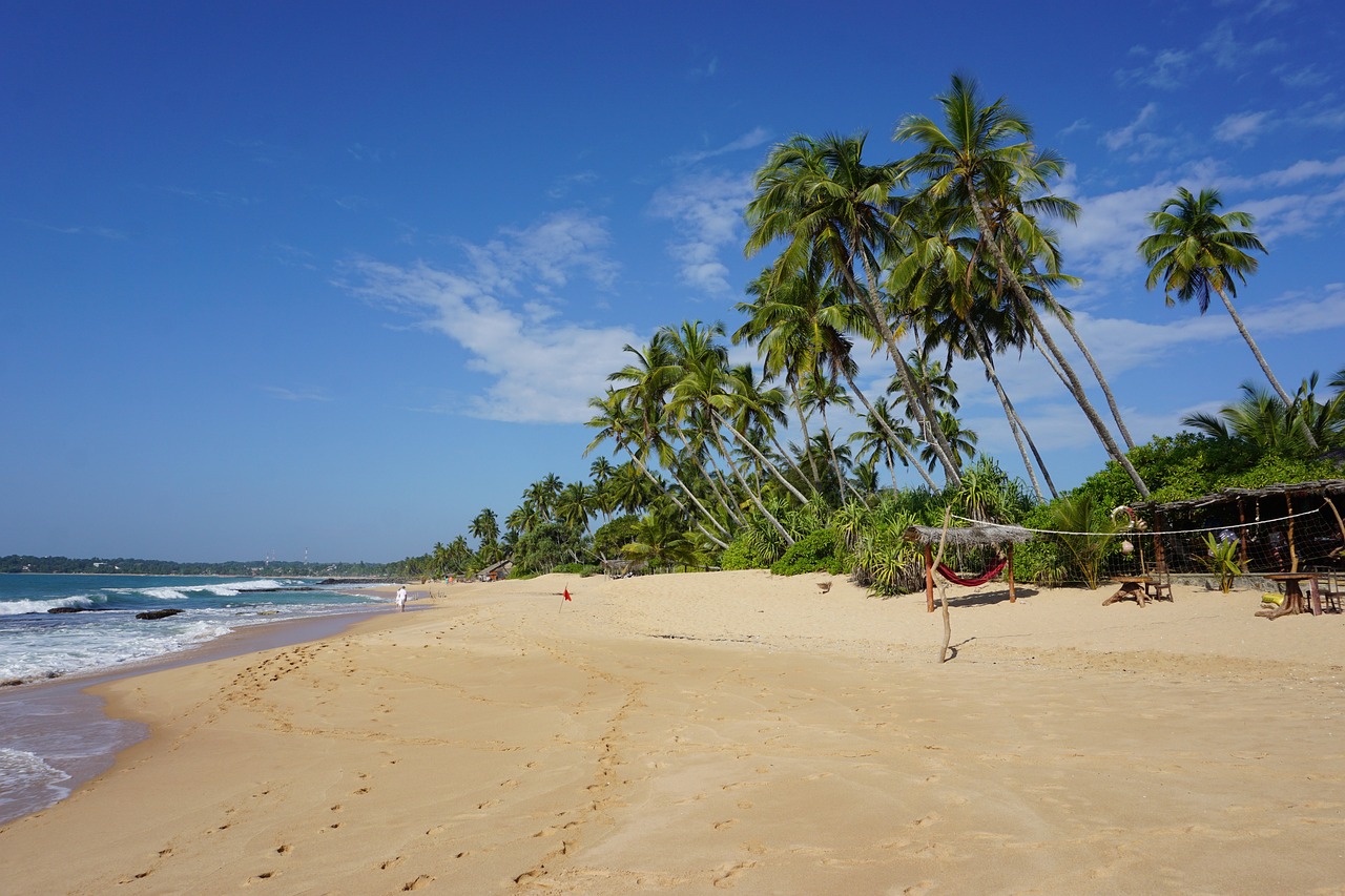 Beach Bliss and Wildlife Wonders in Tangalle