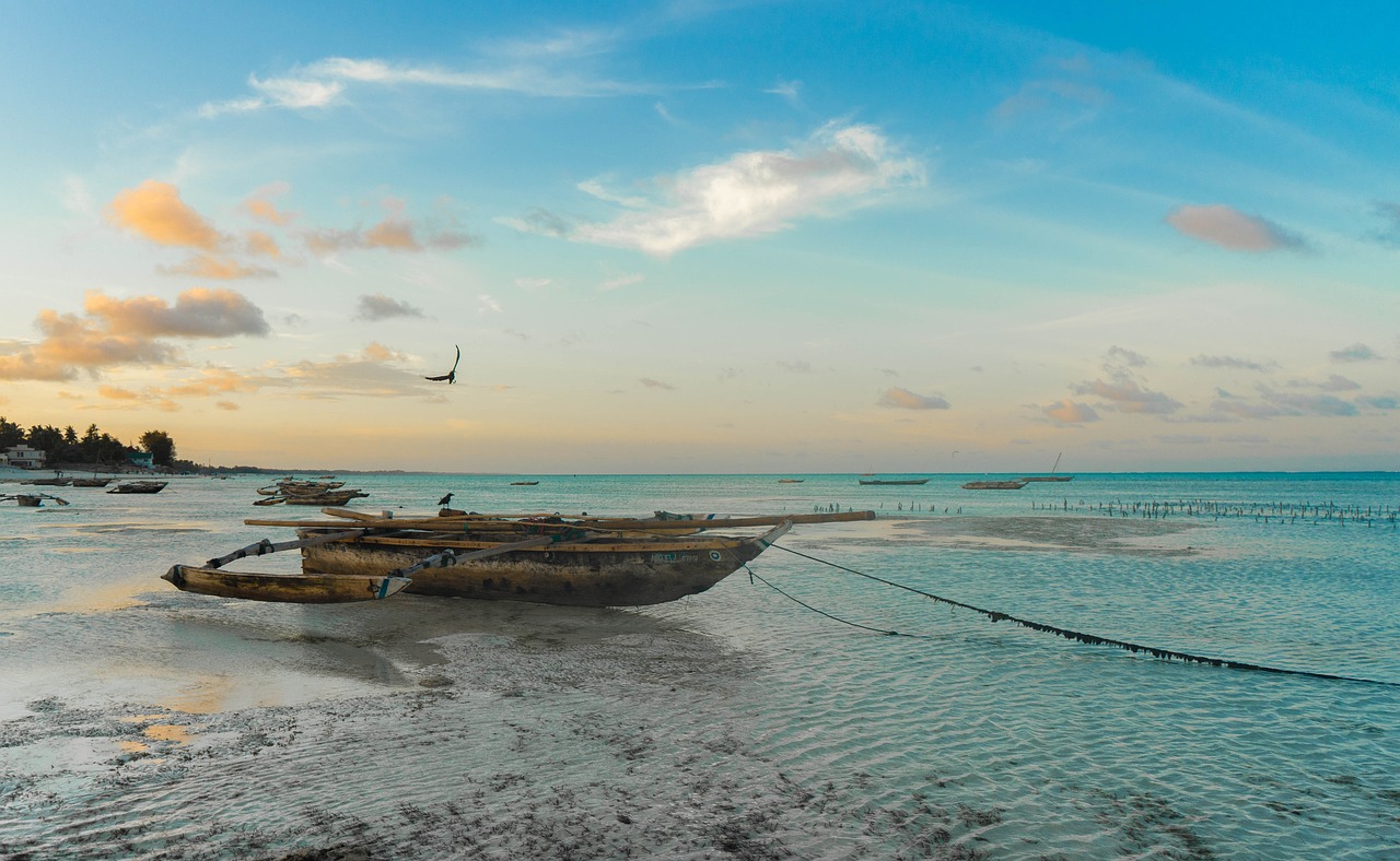 Beach Bliss and Stone Town Wonders in Zanzibar