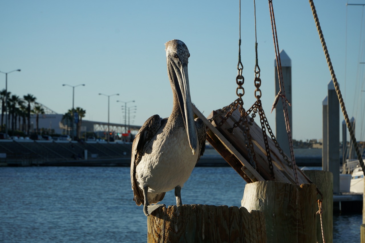 Beachside Delights and Haunted Nights in Corpus Christi