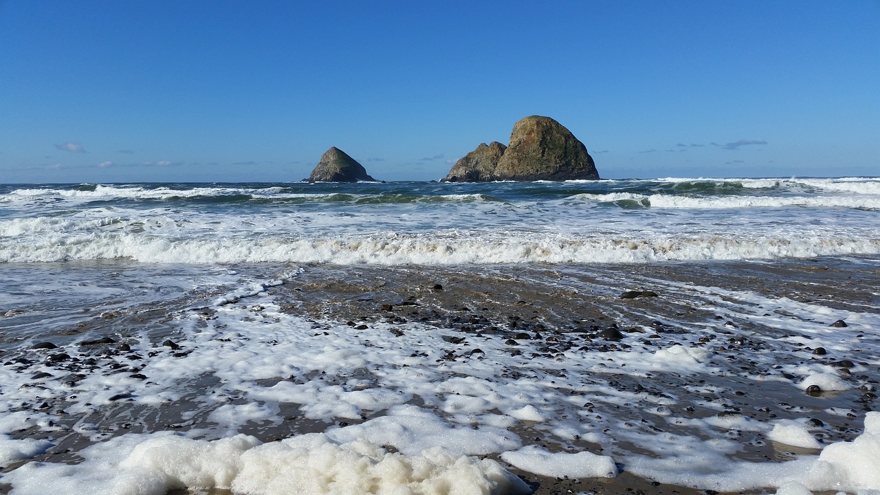 Coastal Delights and Culinary Wonders in Tillamook