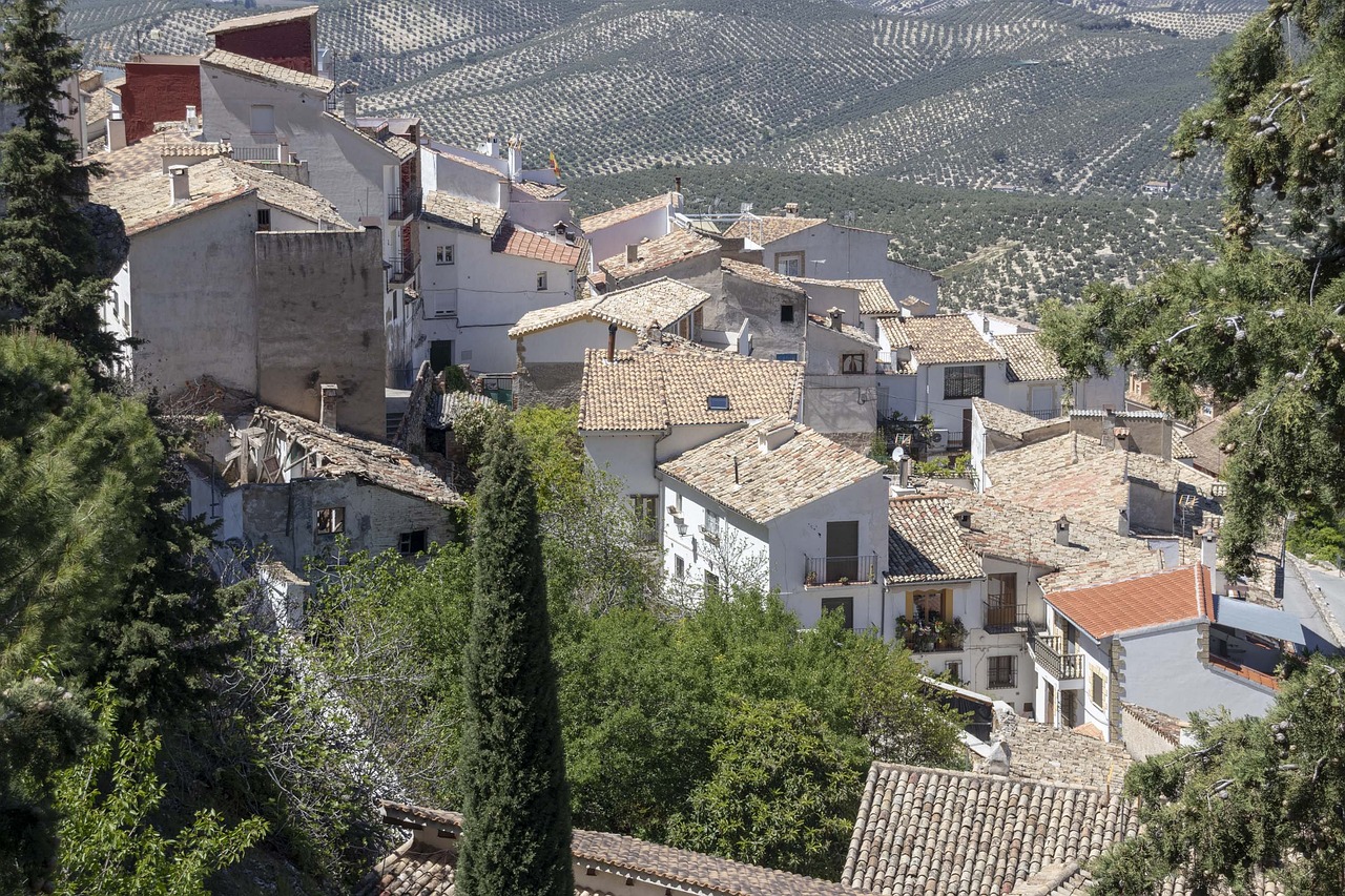 Olive Oil Immersion in Cazorla