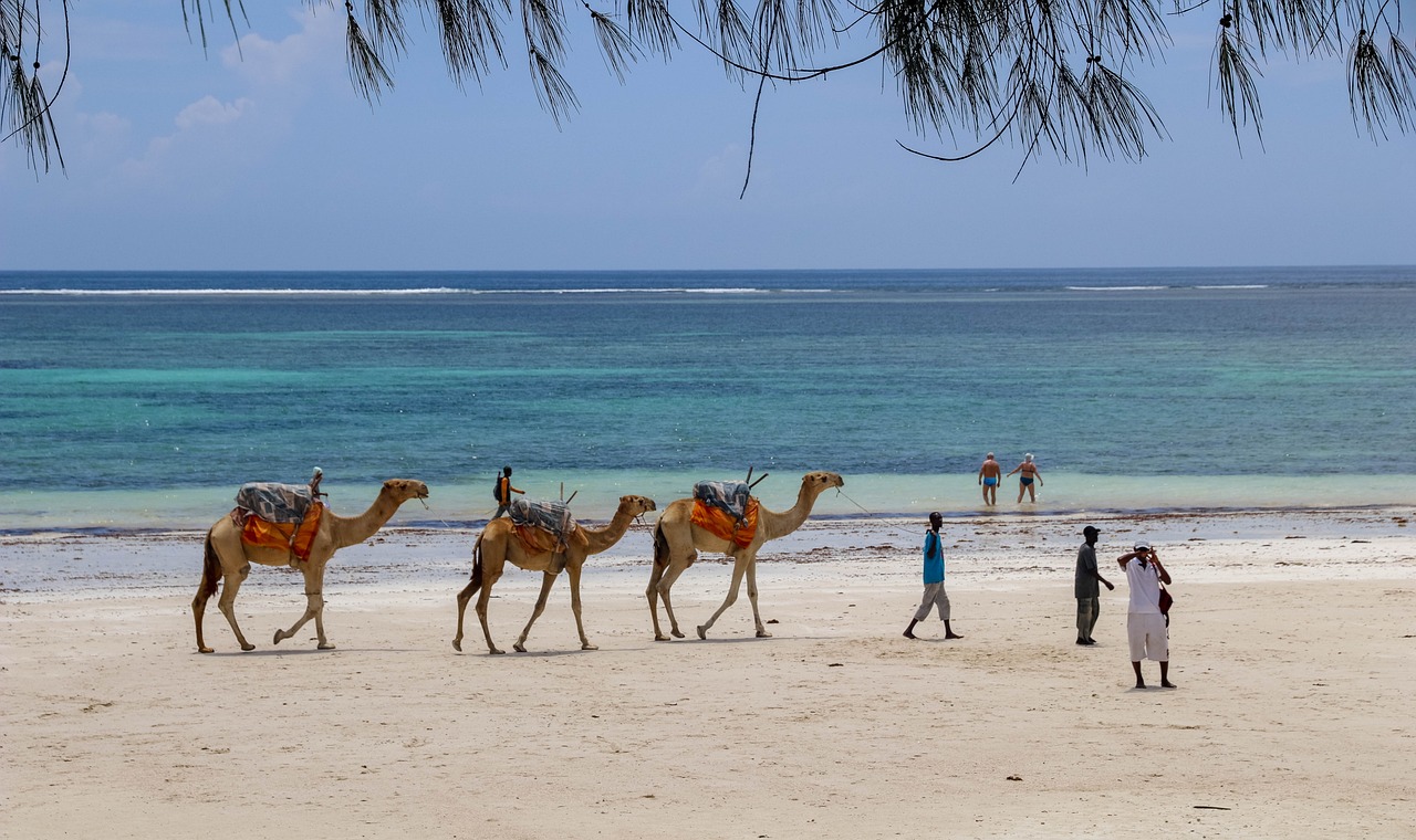 Beach Bliss and Safari Adventures in Diani