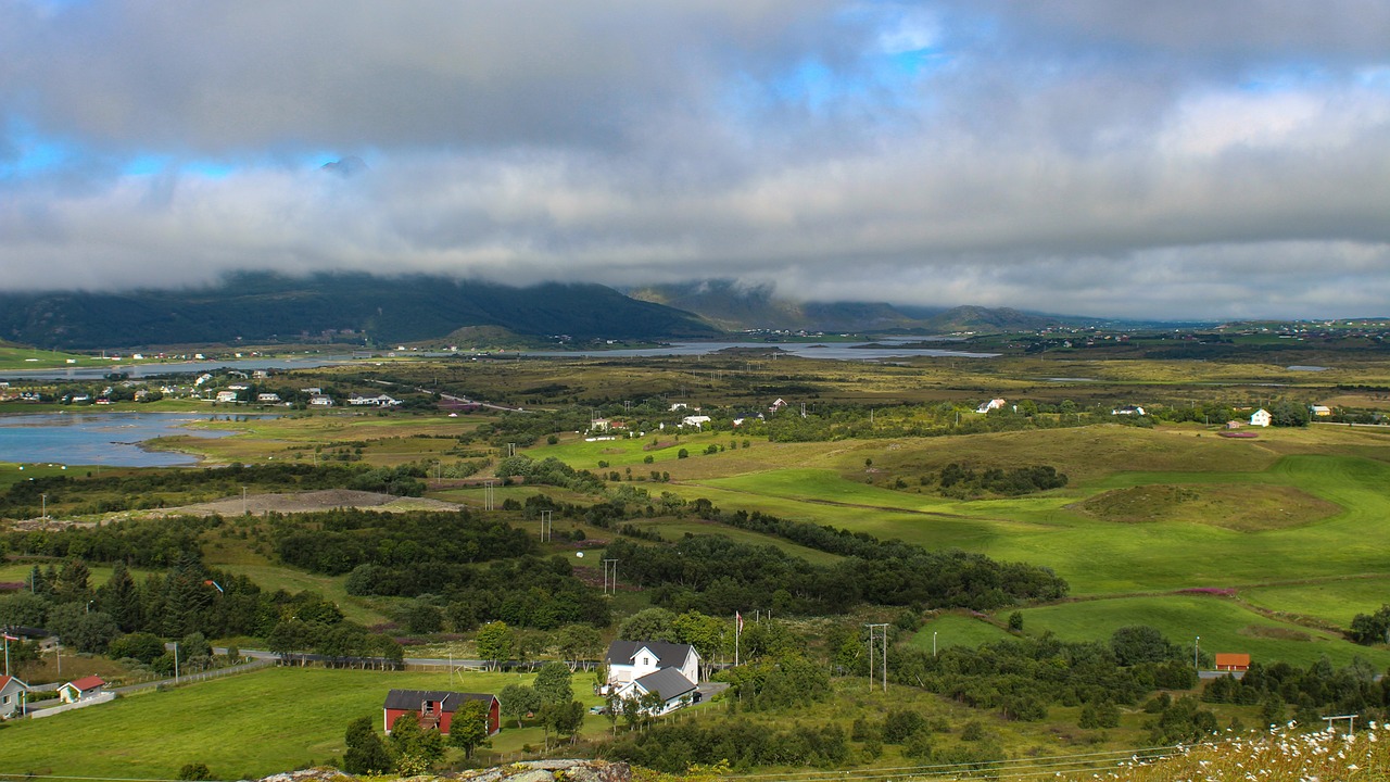 Scenic Day Trip in Lofoten from Leknes