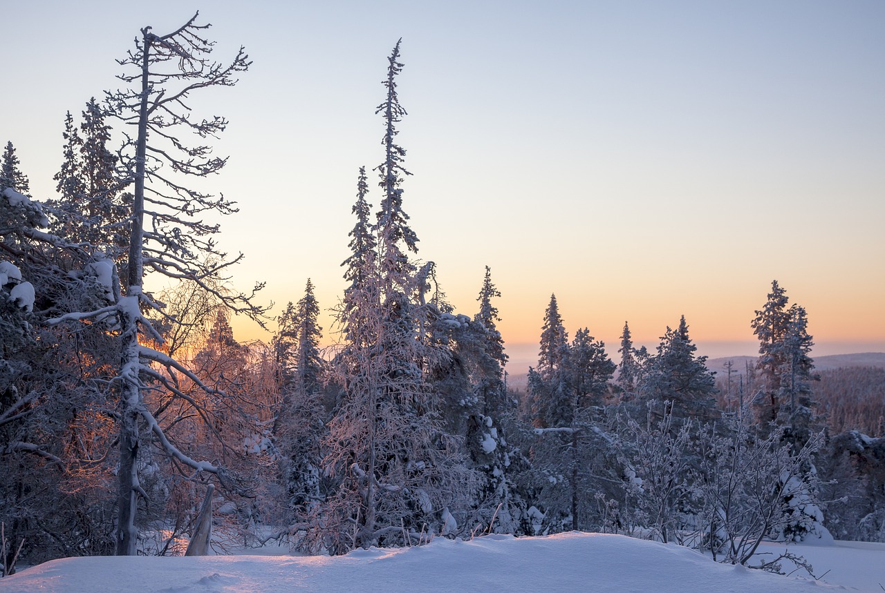 Arctic Adventure in Lapland: Northern Lights, Husky Safari, and Snowmobiling