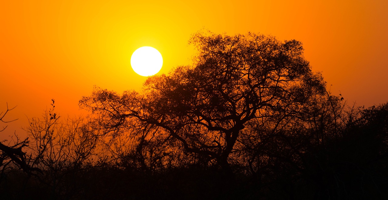 Ultimate 3-Day Kruger National Park Safari