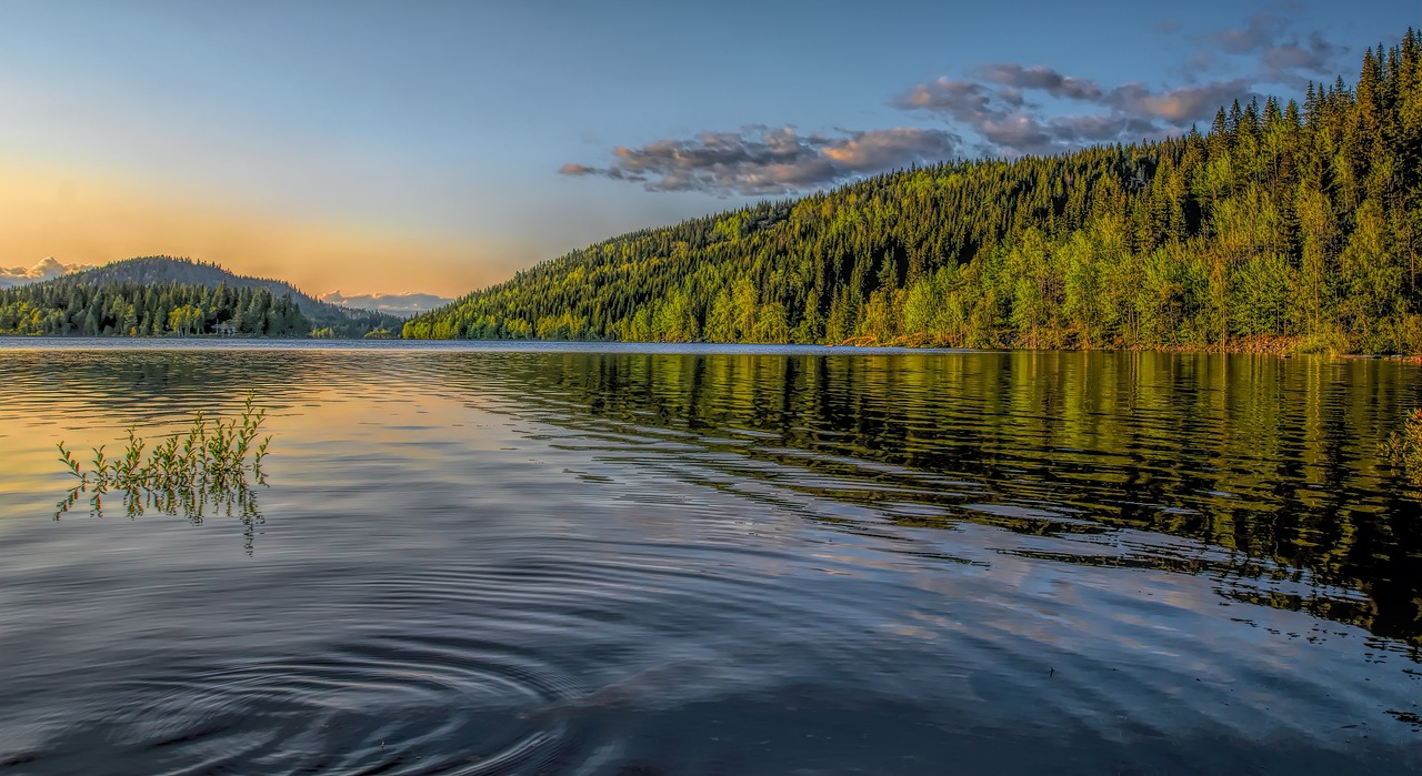 Coastal Adventure in Vestfold